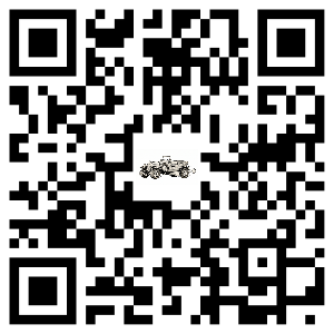 Auto QR Demo